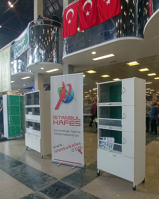 2015 feshane dünya kanarya yarmas - istanbulkafes 