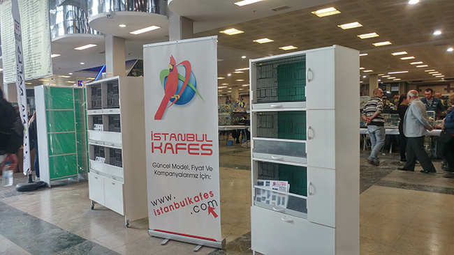 2015 feshane dünya kanarya yarmas - istanbulkafes 