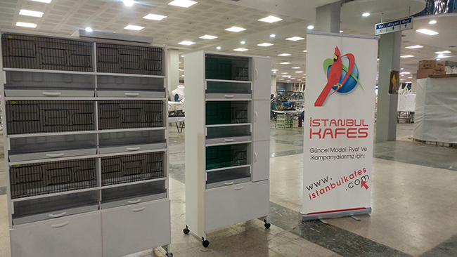 2015 feshane dünya kanarya yarmas - istanbulkafes 